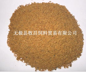 肉粉,肉骨粉 河北省無(wú)極縣牧昌動(dòng)物蛋白飼料廠 公司介紹