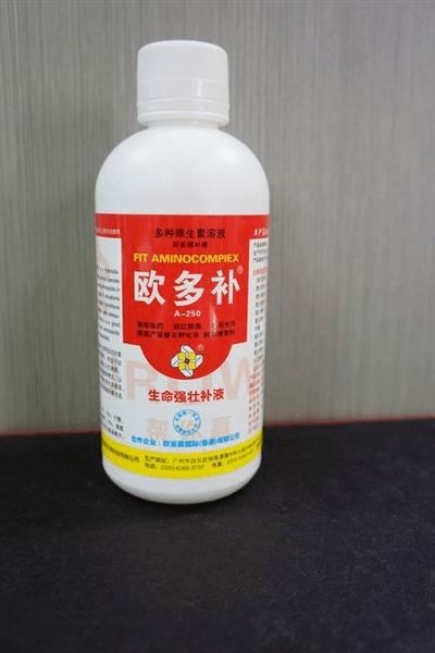 飼養肉雞毛色不好怎么辦 如何讓肉雞的毛色能夠更好看呢