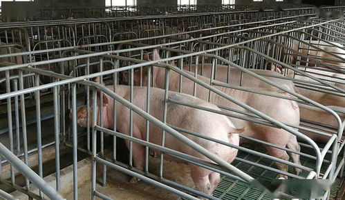 創慧農預混料采用條碼系統實現全程質量監控