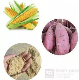 百頭 愛心扶貧土豬 等待你認養(yǎng)