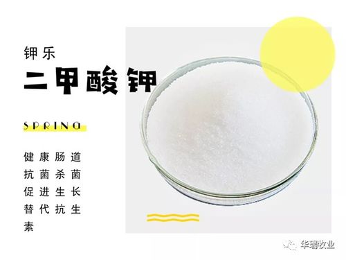 無抗之路領先國內14年 他們的替抗方案值得借鑒嗎