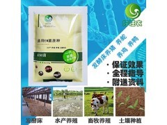發酵床菌種,飼料添加劑,預混合飼料,微生態制劑_綠康奧生物科技