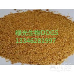 【山東綠光廠家直供高蛋白飼料添加劑玉米酒槽ddgs】- 