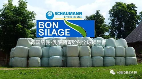 北京三元 天津嘉立荷 使用德國紹曼青貯添加劑產(chǎn)品 保時(shí)青 對青貯飼料發(fā)酵質(zhì)量及生產(chǎn)性能影響的報(bào)告 1 2
