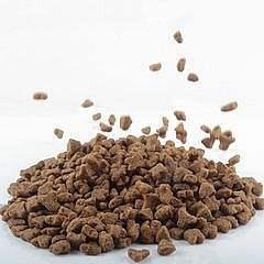 寵物飼料進口登記變更 聯(lián)系我們獲取更多資料