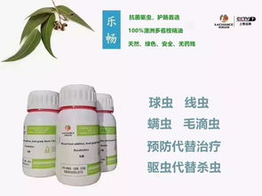 鴿子終身攜帶毛滴蟲,高溫高濕季節(jié)尤其嚴重,預防是重中之重
