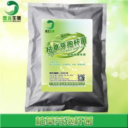 微元枯草芽孢桿菌原粉全水溶枯草芽孢桿菌菌粉生物發酵肥料添加劑供應商 農業生物科技網