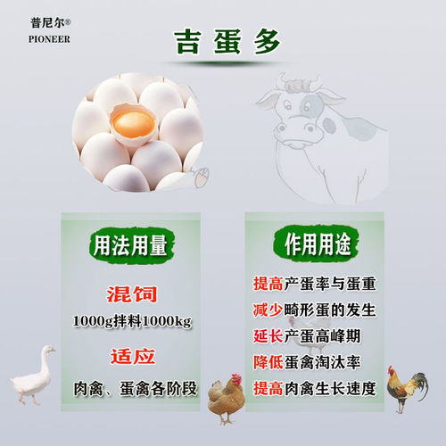獸用吉蛋多雞飼料添加劑 獸用維生素促長增蛋禽畜雞鴨鵝增強產(chǎn)蛋